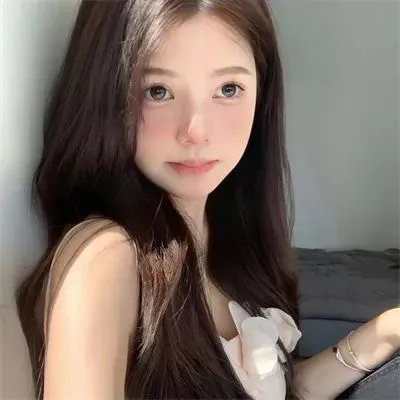 黎明的飞鸟