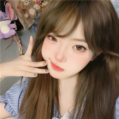 秋田犬蓬夫
